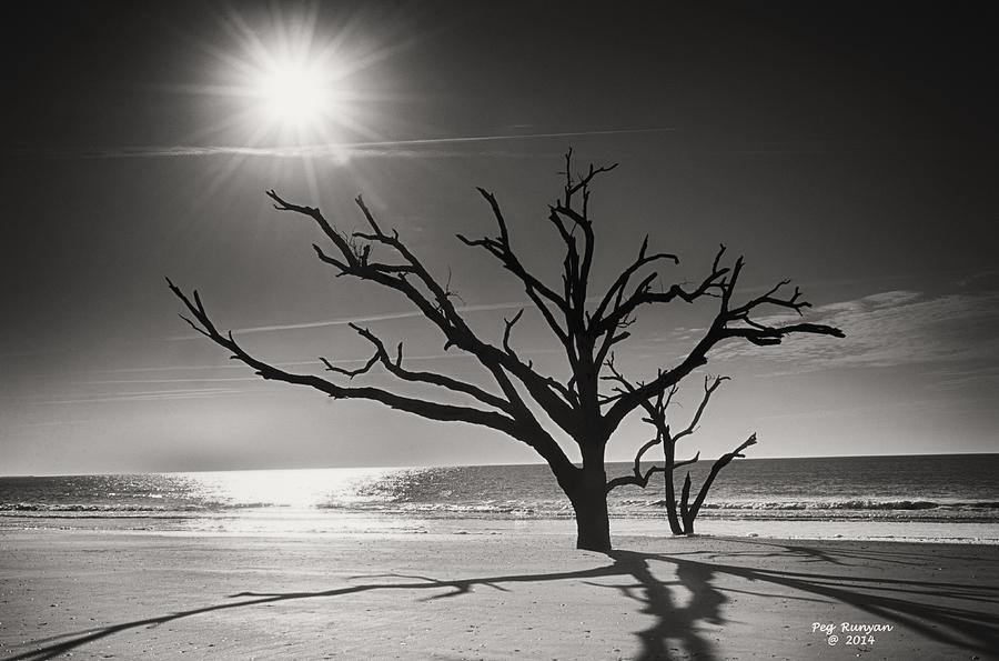 Botany Bay Beach Black and White Photograph by Peg Runyan