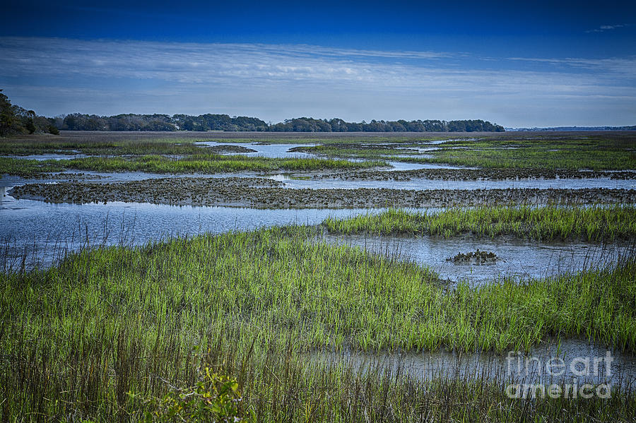 Botany Bay Marsh Edisto Island South Carolina Photograph by Carrie Cranwill