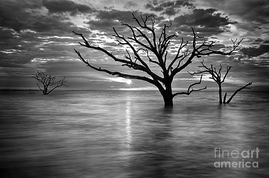 Botany Bay Sunrise 6 Black and White Photograph by Carrie Cranwill
