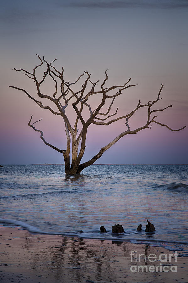 Botany Bay Sunset 1 Photograph by Carrie Cranwill