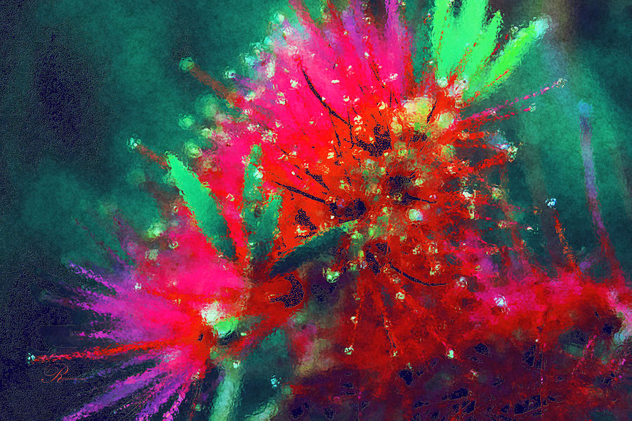 Abstract Photograph - Bottle Brush Flower by Georgiana Romanovna
