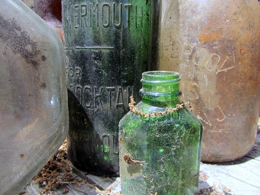 Vintage Photograph - Bottle Hunt - Glass Treasures by Susan Carella
