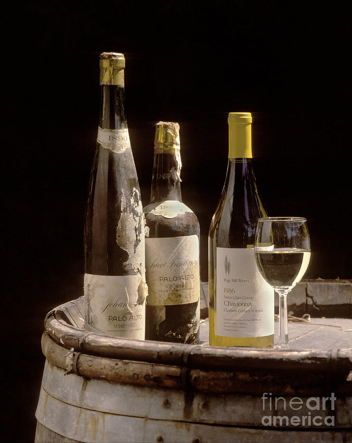 Bottled Chardonnay 1889 Photograph by Craig Lovell