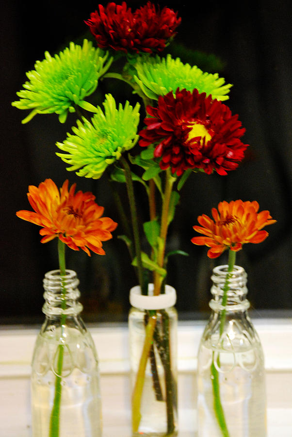Bottled Flowers Photograph by Linda Segerson