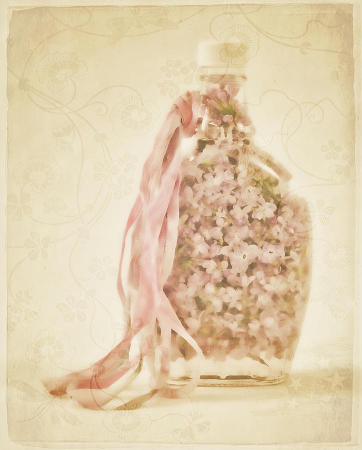 Still Life Photograph - Bottled Lilac Petals by Sandra Foster