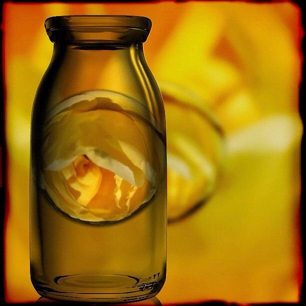 Rose Photograph - Bottled Yellow Rose Marble by Anna Porter
