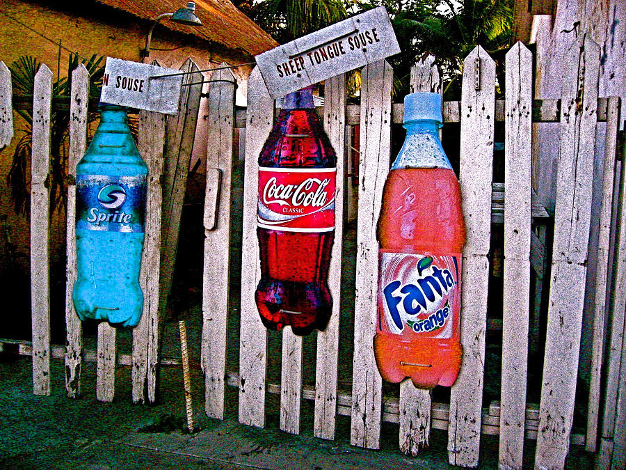 Bottles on a Fence, Nassau, Bahamas Photograph by Venetia Featherstone-Witty