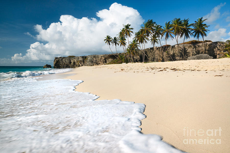 Bottom bay beach in Barbados Photograph by Matteo Colombo