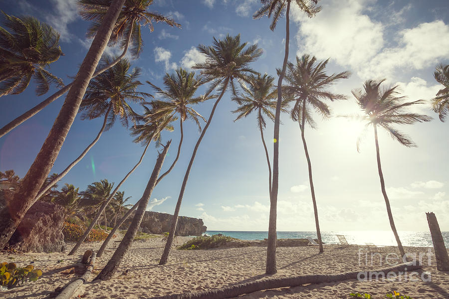 Bottom bay tropical beach in Barbados Caribbean Photograph by Matteo Colombo