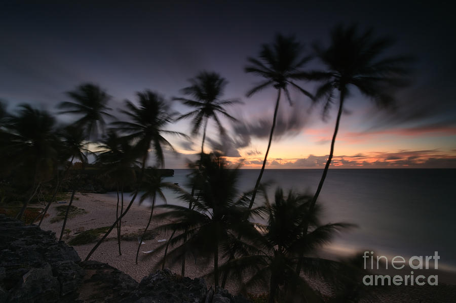 Bottom beach at dawn Barbados Caribbean Photograph by Matteo Colombo