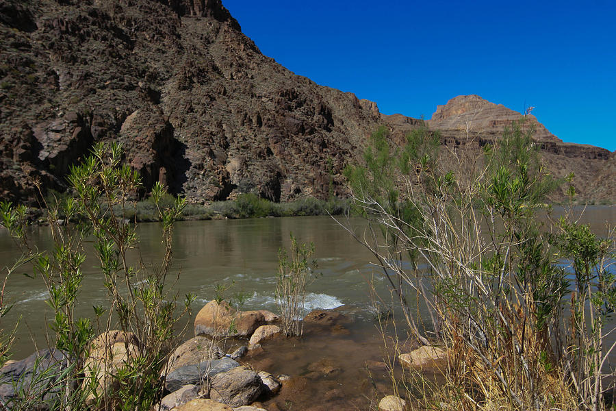 Bottom of the Grand Canyon Photograph by Natural Focal Point ...