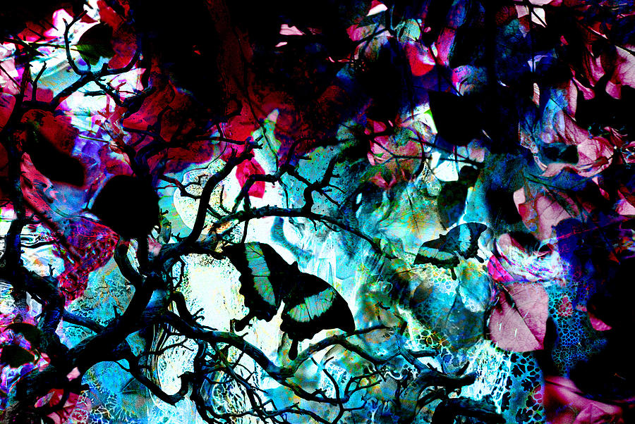Butterfly Digital Art - Bougainvillea Moon by Lisa Yount