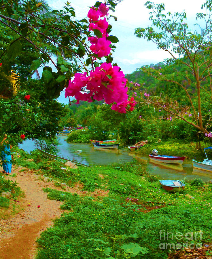 Bouganvilla Watches Over Village Fishing Boats Photograph by Pamela Smale Williams