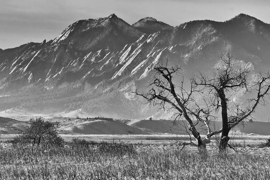 Boulder Colorado Snowy Front Range View In Black and White Photograph by James BO Insogna