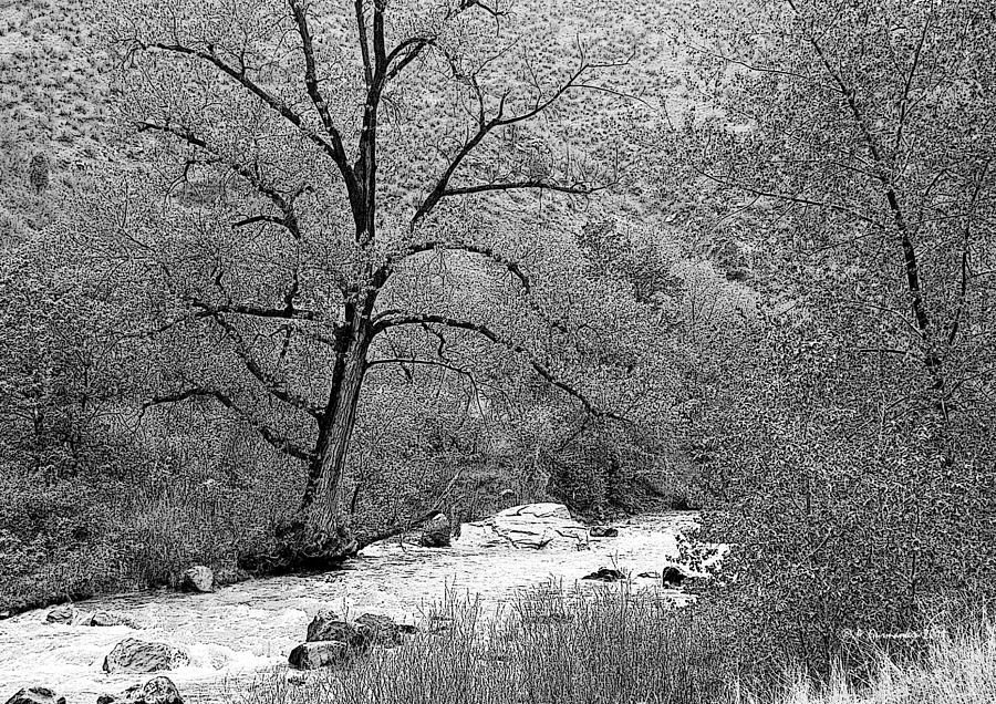 Boulder Creek Colorado Rockies Digital Art Photograph by A Macarthur Gurmankin