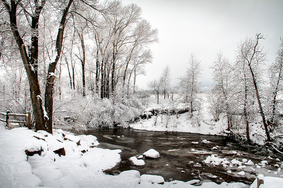 Boulder Creek Winter Photograph by Juli Ellen
