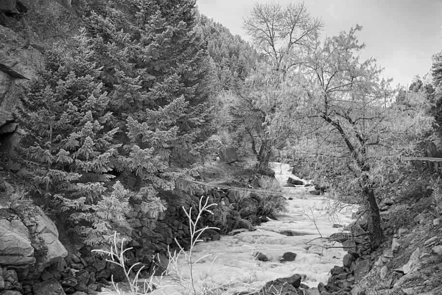 Boulder Creek Winter Wonderland Black and White Photograph by James BO Insogna