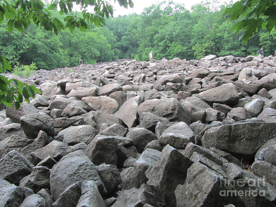 Boulder Field - Ringing Rock Forest Photograph by Susan Carella