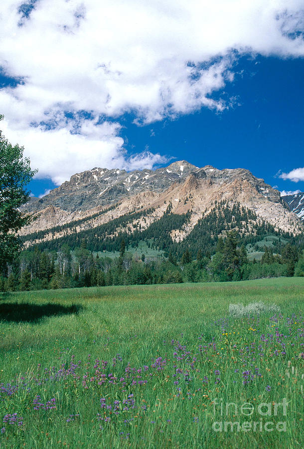 Boulder Mountains, Idaho Photograph by William H. Mullins