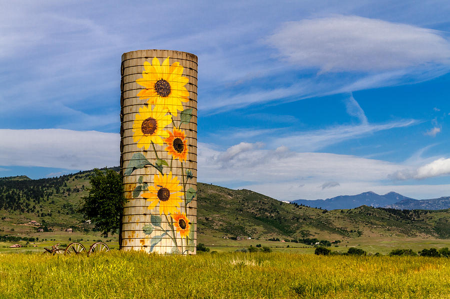 Mountain Photograph - Boulder Ranch Sunflower Farm Silo by Teri Virbickis