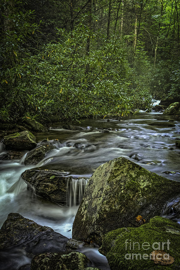 Boulders and Stream Photograph by David Waldrop