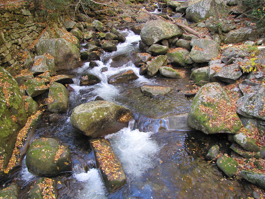 Boulders in a Smoky Mountain stream Photograph by Toni and Rene Maggio