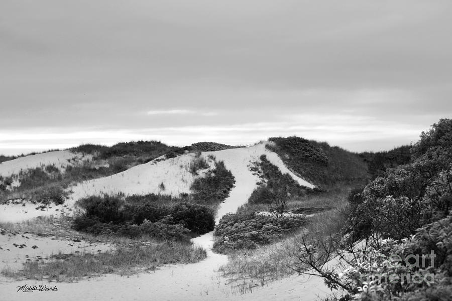 Bound Brook Island Dunes Cape Cod Photograph by Michelle Constantine