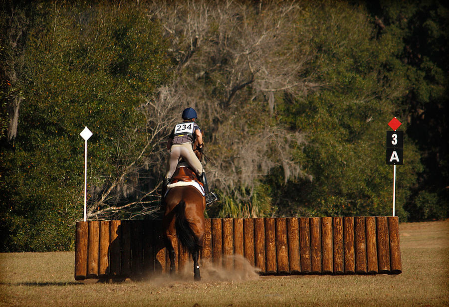 Bounding by M Davis Bounding by M Davis