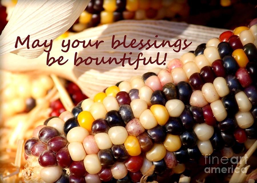 Bountiful Blessings  Photograph by Carol Groenen