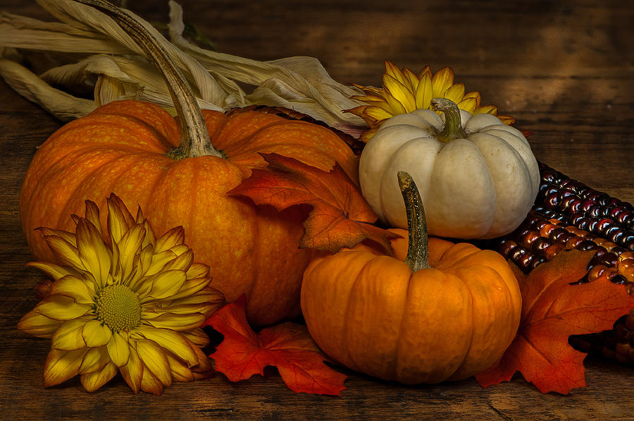 Bountiful Harvest Photograph by Randy Walton