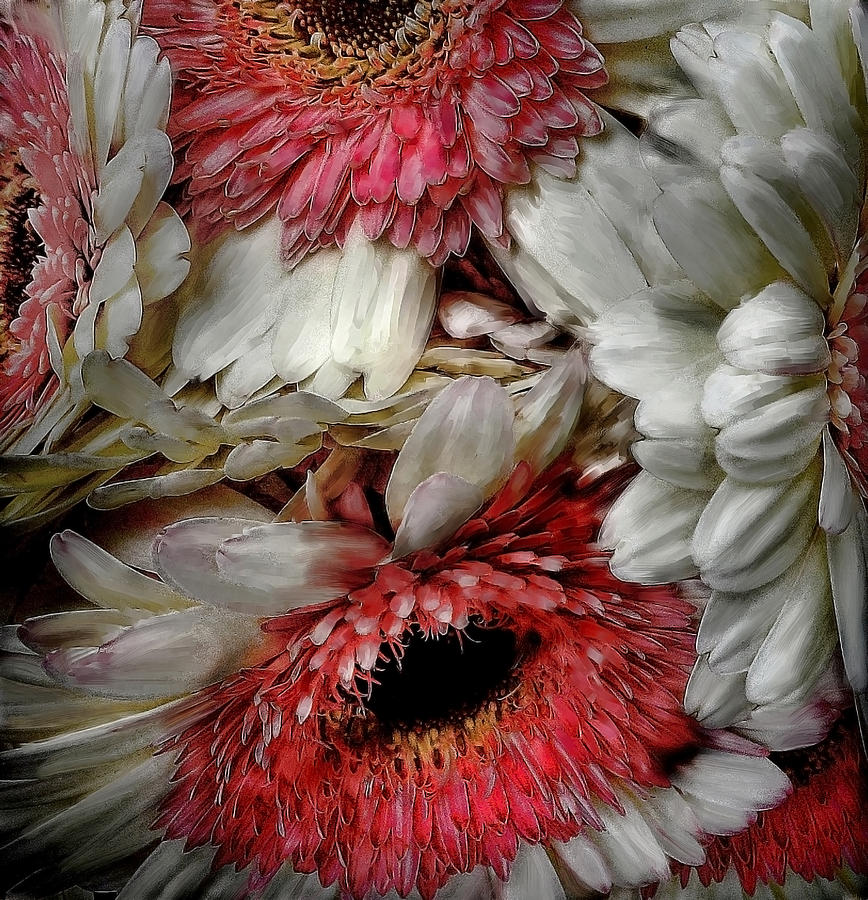 Flower Digital Art - Bouquet by Cary Shapiro