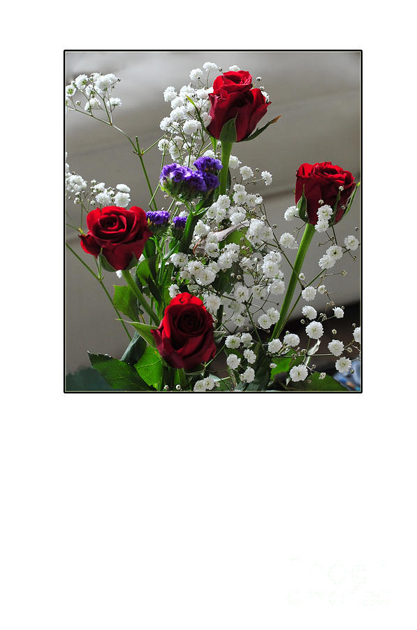 Bouquet in Red White and Blue Photograph by Randi Grace Nilsberg