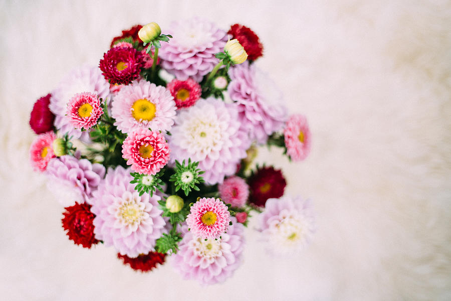 Bouquet of dahlias Photograph by Carolin Voelker