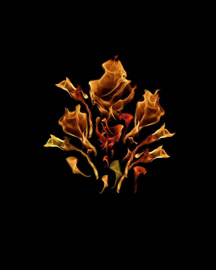 Fire Photograph - Bouquet of Fire  by Wes Jimerson