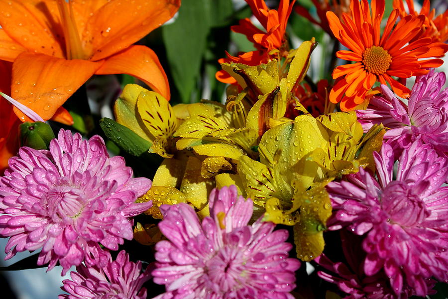 Bouquet Of Flowers Photograph