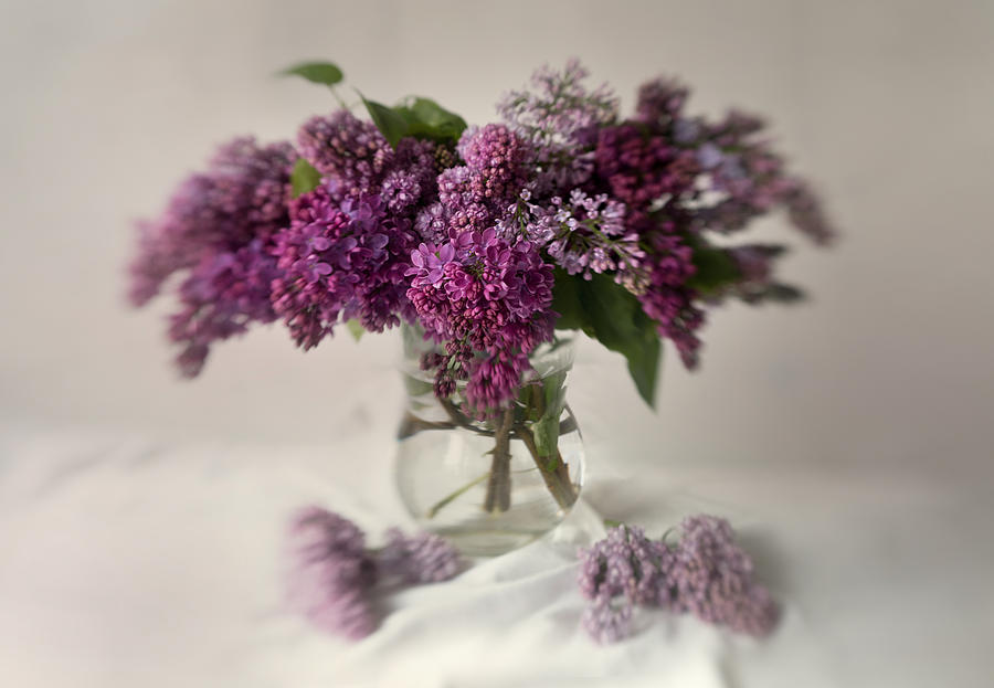 Bouquet of lilacs in a glass pot Photograph by Jaroslaw Blaminsky