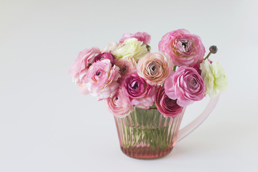 Bouquet Of  Pink Ranunculus Photograph by Elin Enger