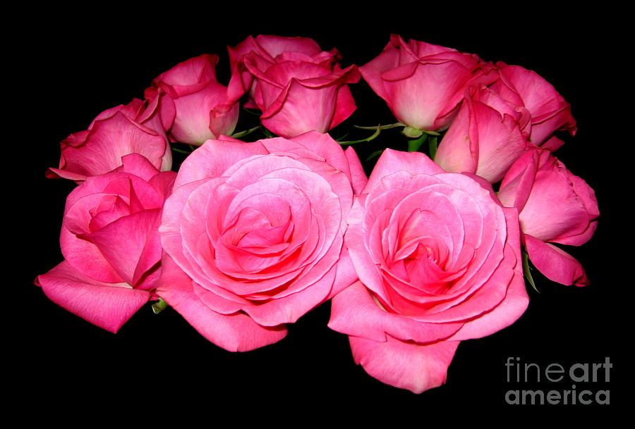 Bouquet of Pink Roses Photograph by Rose Santuci-Sofranko