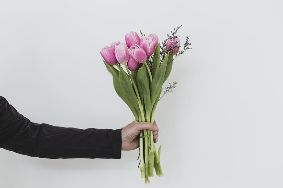 Bouquet of tulips in a hand against a light blue background Photograph by Linda Raymond