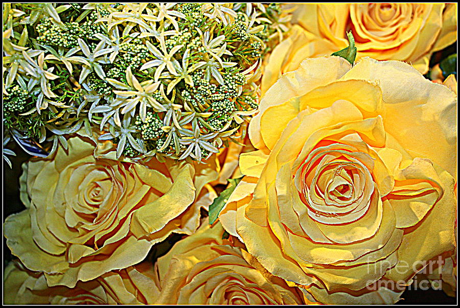 Bouquet of Yellow Roses Photograph by Dora Sofia Caputo