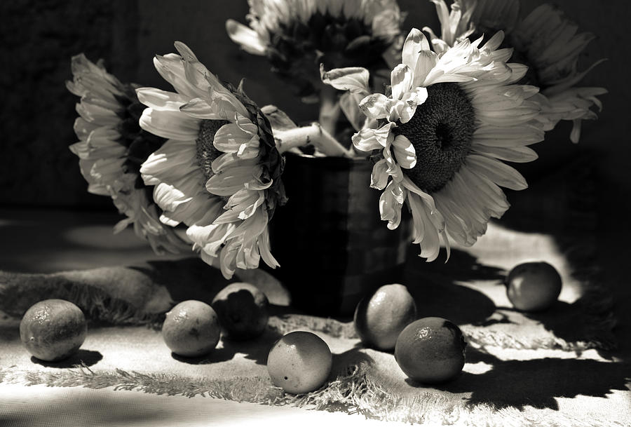 Bouquet sunflowers Photograph by Sviatlana Kandybovich