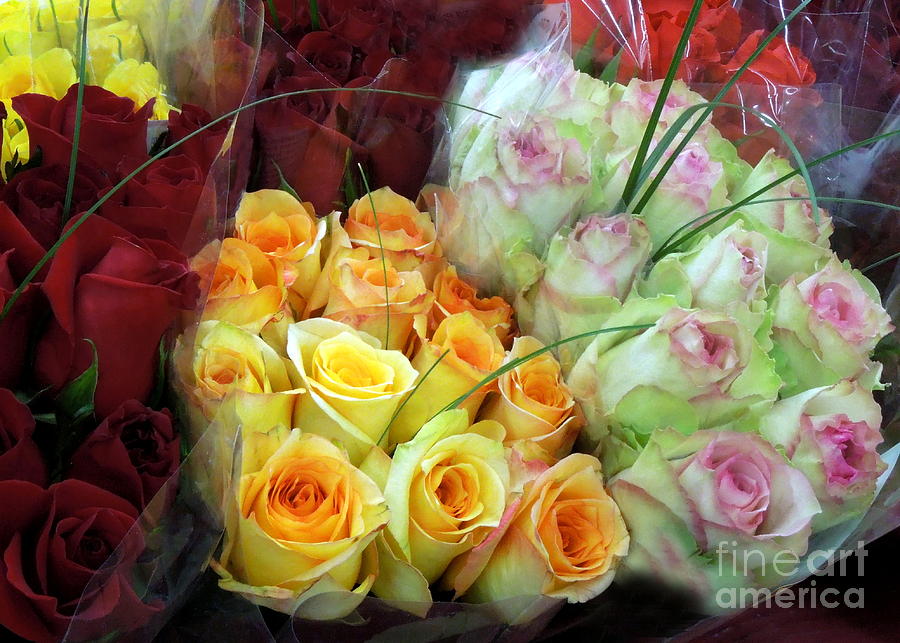 Rose Photograph - Bouquets of Roses by Renee Trenholm