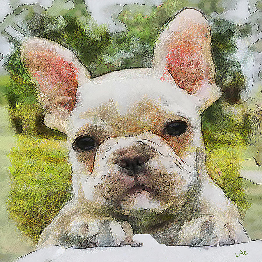Bouvier - French Bulldog Painting by Doggy Lips