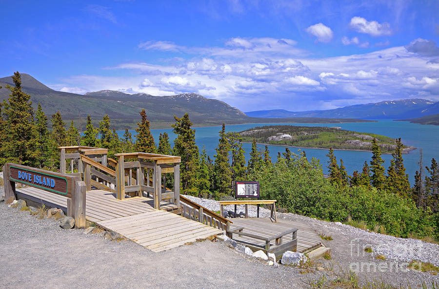 Bove Island Lookout Photograph by Charline Xia
