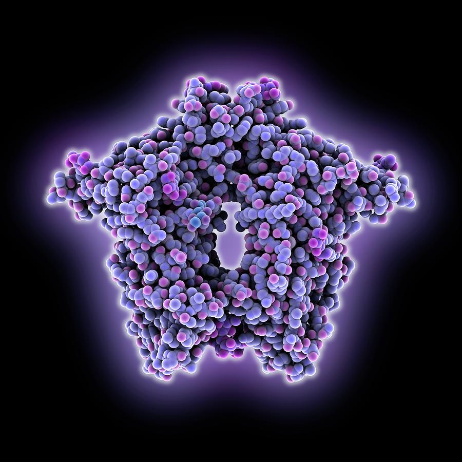 Protein Photograph - Bovine Coronavirus Enzyme by Laguna Design