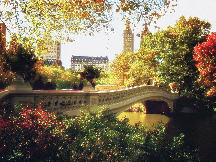 Central Park Photograph - Bow Bridge - Autumn - Central Park by Vivienne Gucwa