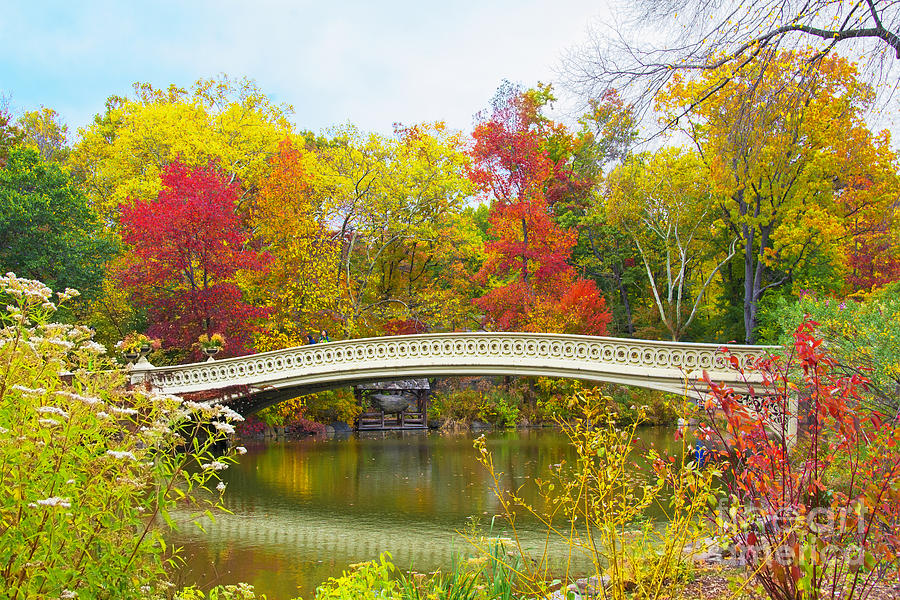 Bow Bridge Central Park in Autumn Photograph by Regina Geoghan - Fine ...