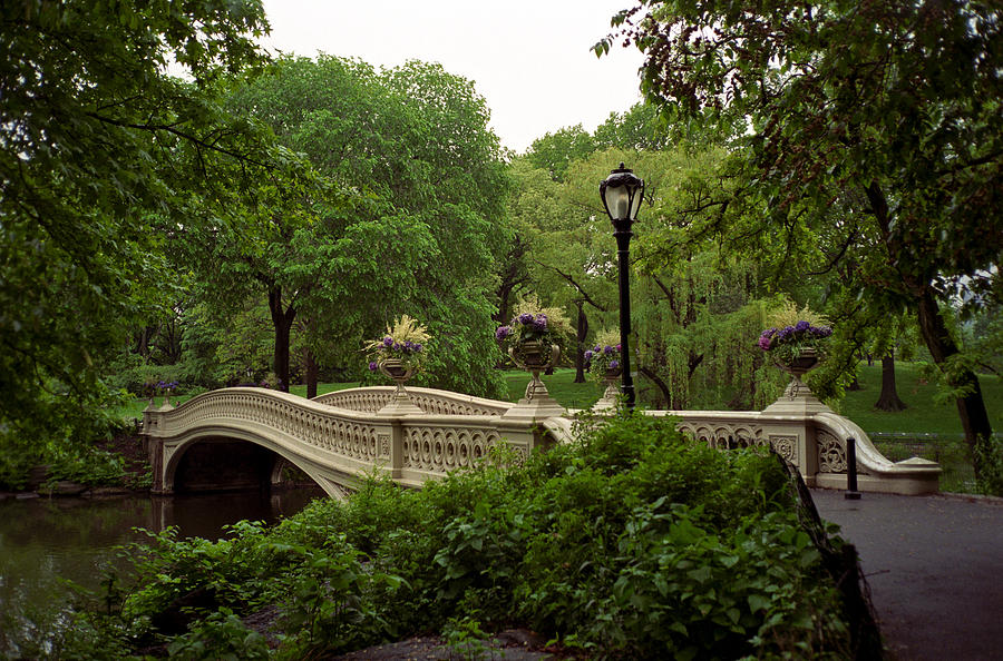 Central Park Photograph - Bow Bridge by Cornelis Verwaal