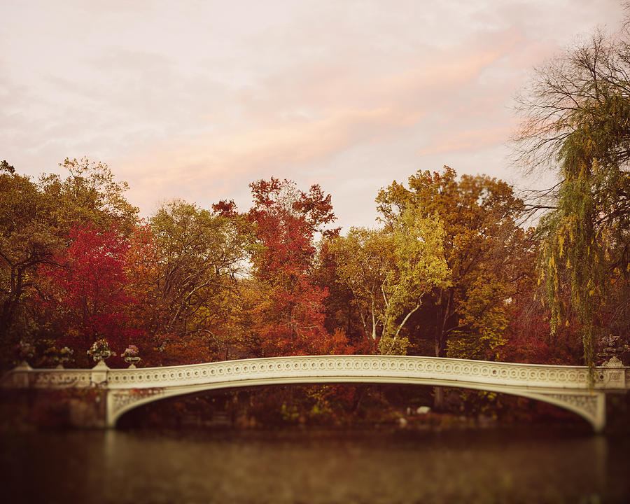Central Park Photograph - Bow Bridge in Autumn by Irene Suchocki