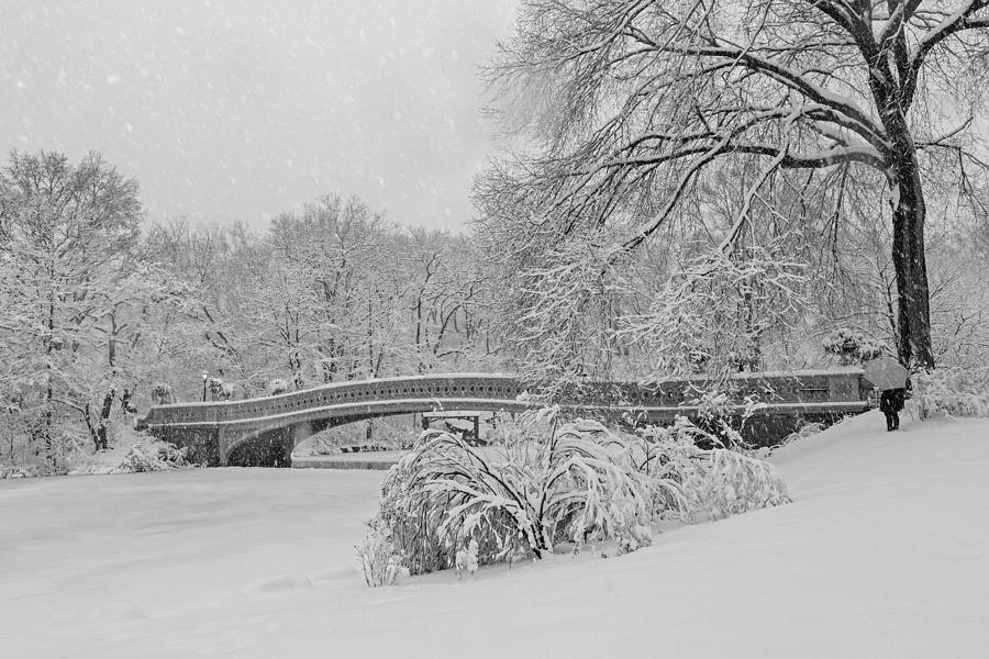 Bow Bridge In Central Park During Snowstorm BW Photograph by Susan Candelario